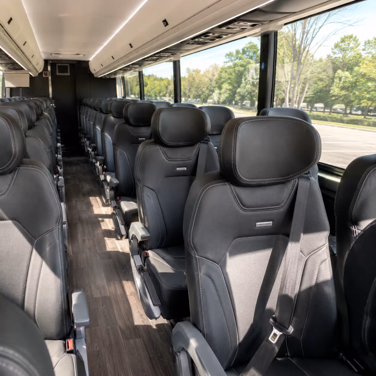 youth group and confirmation class buses in new rochelle